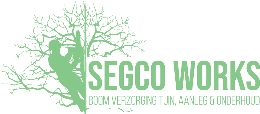 segco works - online adverteren